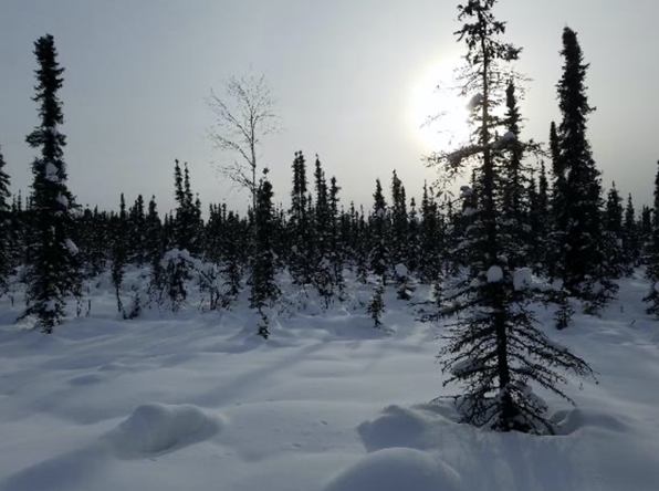 SnowEx 2023 Tundra and Boreal Forest